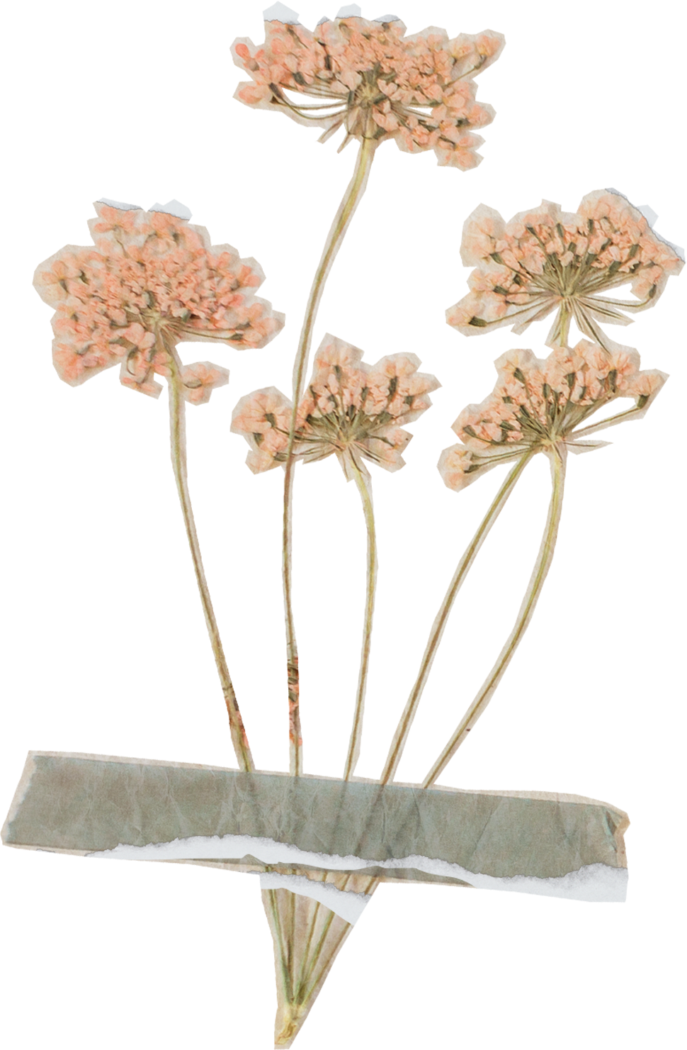 Vintage Feminine Romantic Taped Flowers Cutout